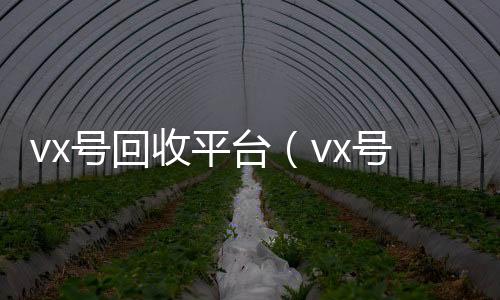 vx号回收平台（vx回收vx号回收平台联系方式查询）
